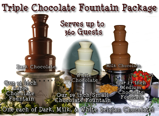 SUPER SWEET 16 CHOCOLATE FOUNTAIN  - SWEET SIXTEEN PARTY OPTIONS