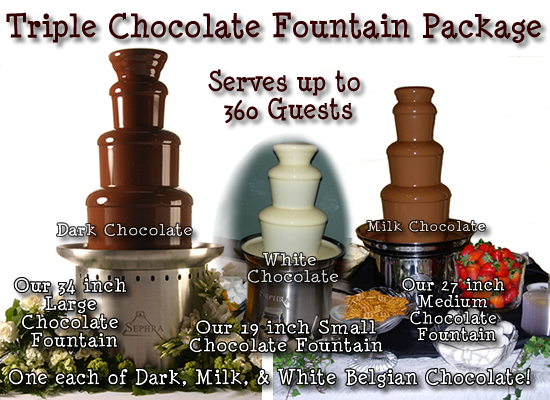 SUPER SWEET 16 CHOCOLATE FOUNTAIN - SWEET SIXTEEN PARTY OPTIONS